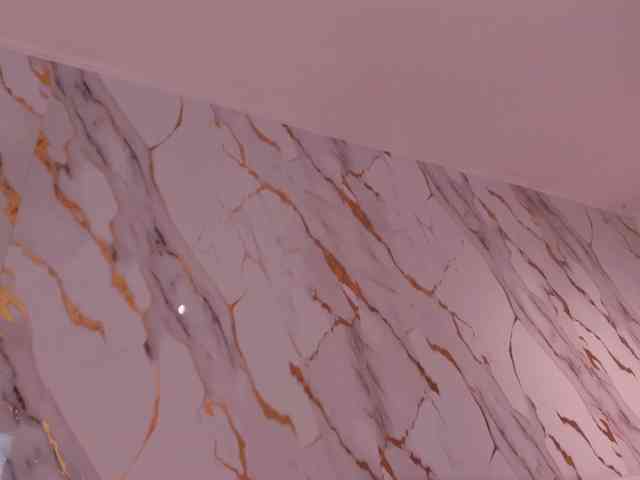 CelesteMoon webcam