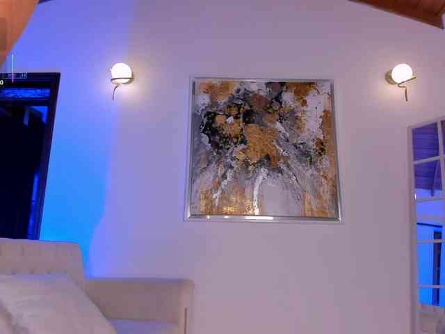 CelesteMoon webcam