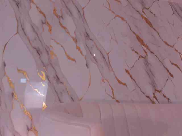 CelesteMoon webcam