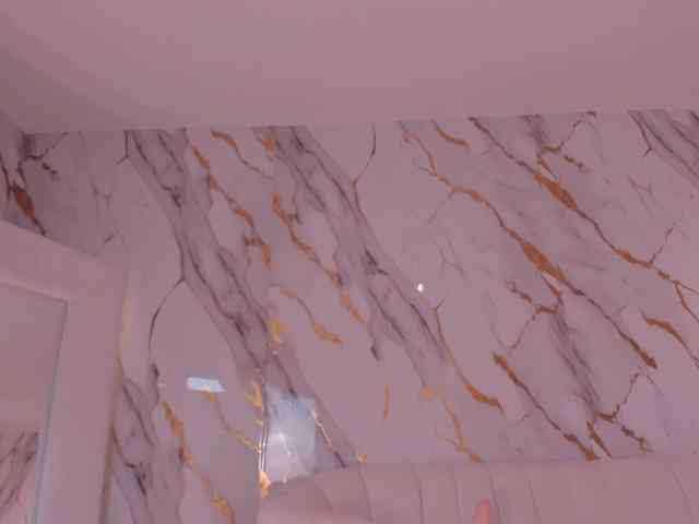 CelesteMoon webcam