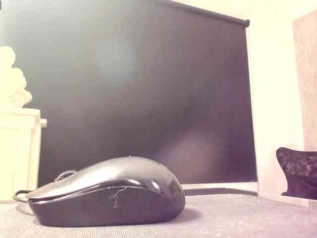 CelesteMoon webcam
