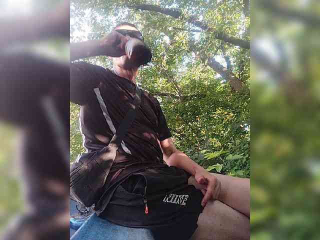 Dimik1711 Sex Cam Show