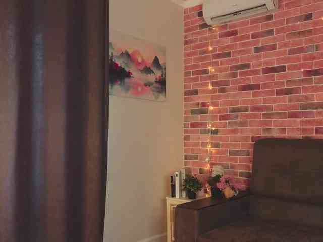 FoxFever webcam