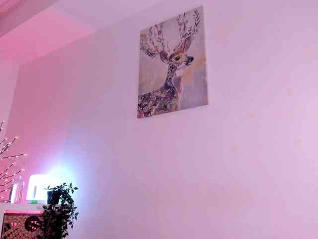 Divine-Madness webcam