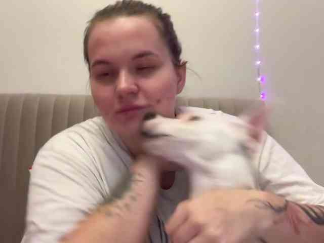Divine-1 webcam