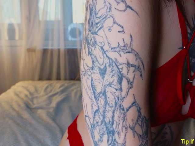 TinyMollys live cam on BongaCams