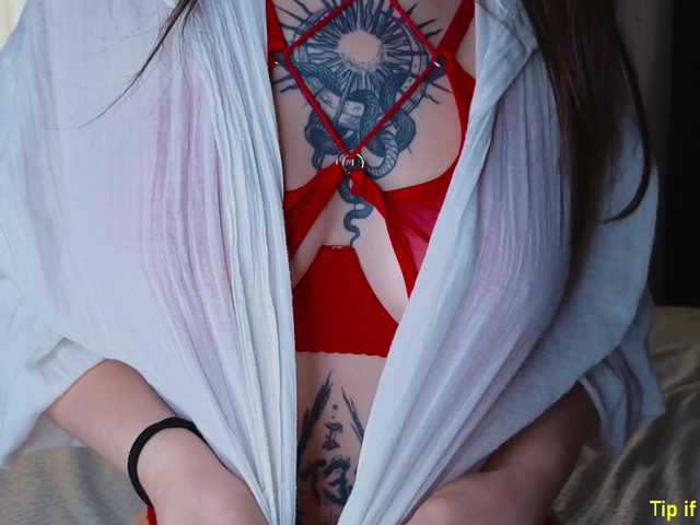 TinyMollys live cam on BongaCams
