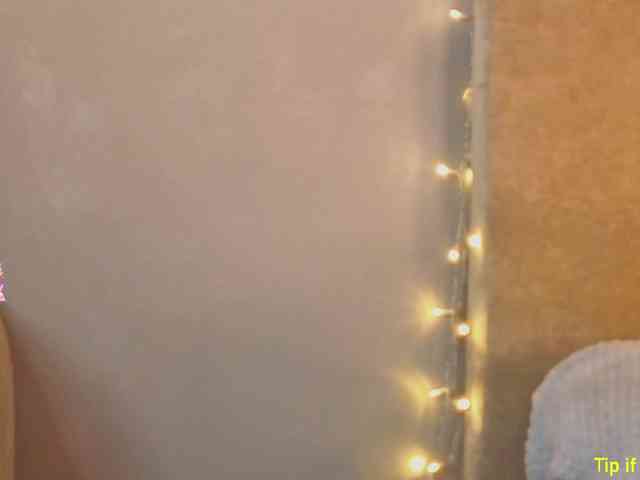 TinyMollys webcam