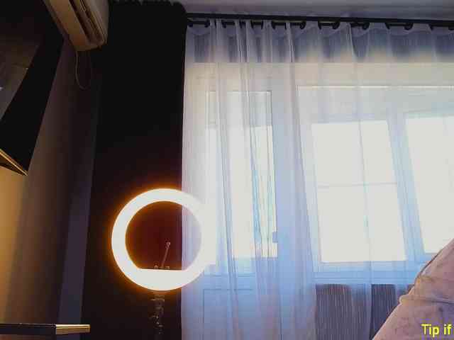 TinyMollys webcam