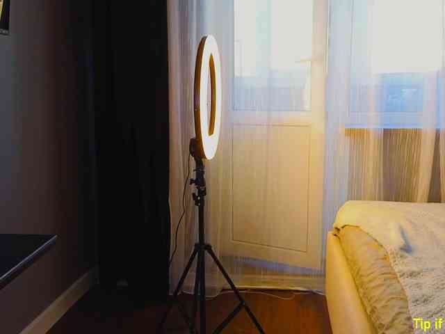 TinyMollys webcam