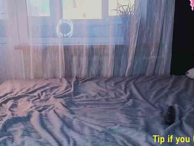 TinyMollys webcam