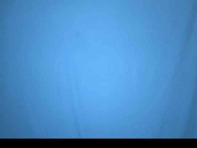PrincessScar webcam