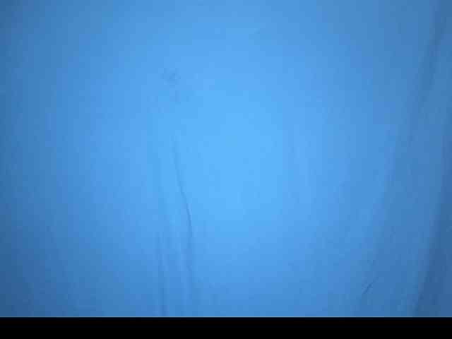 PrincessScar webcam