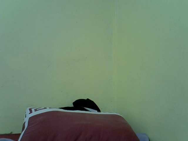 Darkdil live cam on BongaCams