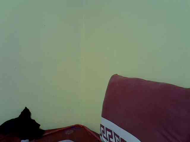 Darkdil webcam