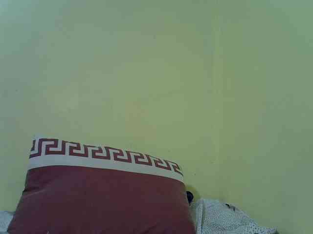 Darkdil webcam