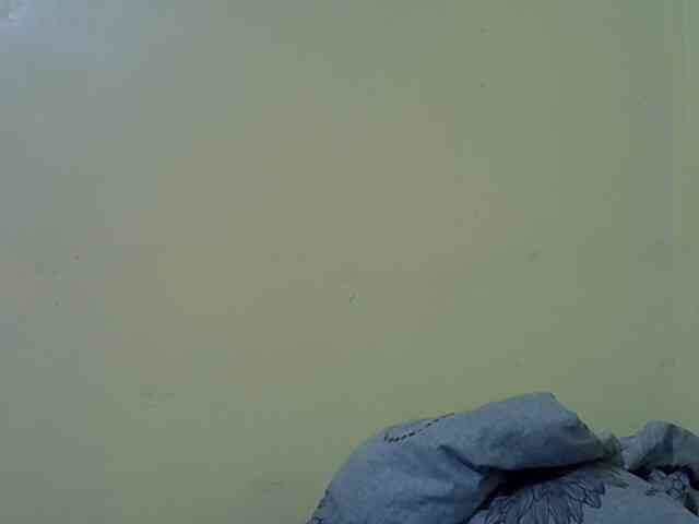 Darkdil webcam