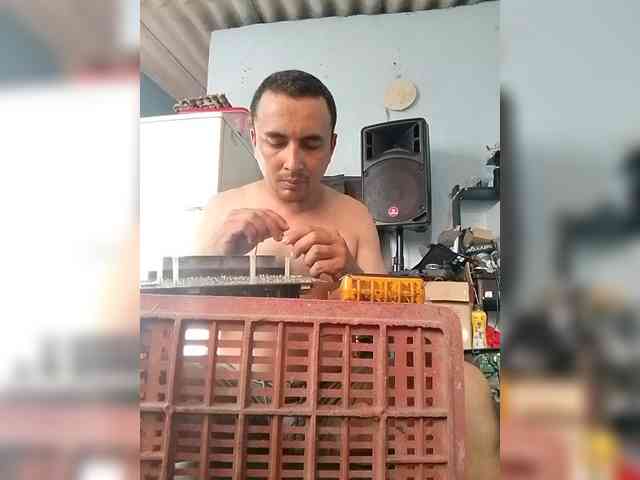 paradice870 webcam