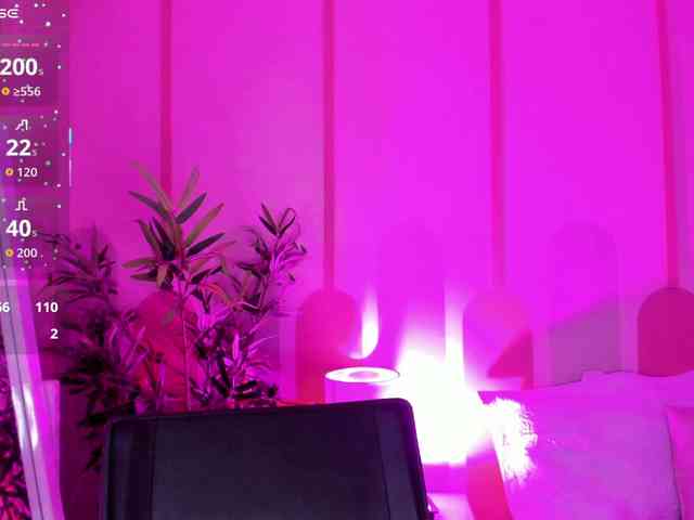 jasmin-hamdan webcam