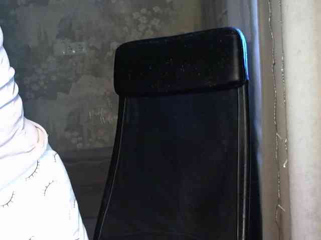 MoniCharm webcam