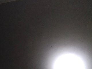 Misscreamerr Porn Show
