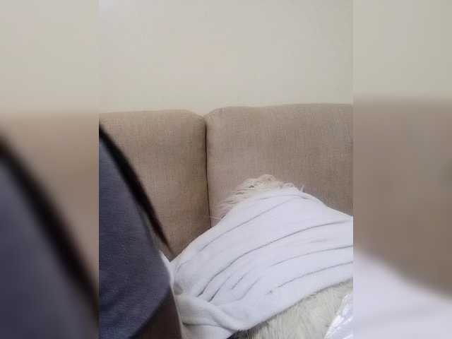 Misscreamerr