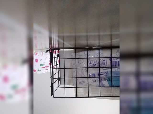 Misscreamerr