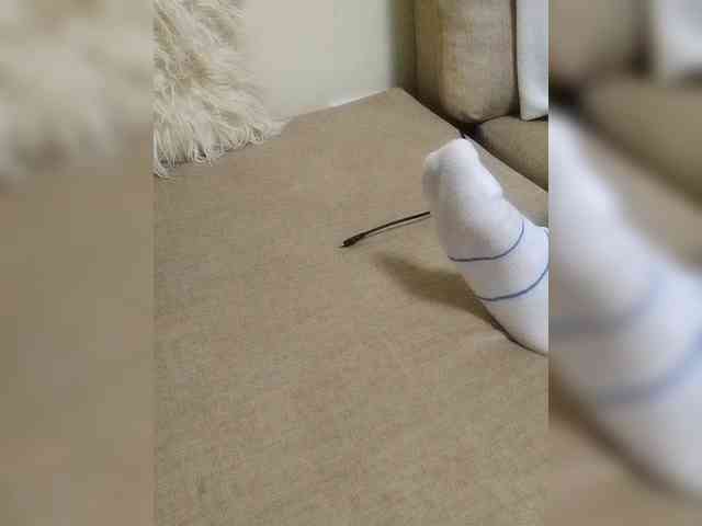Misscreamerr webcam
