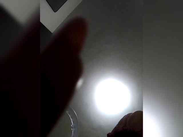 Misscreamerr