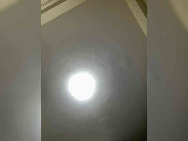 Misscreamerr webcam