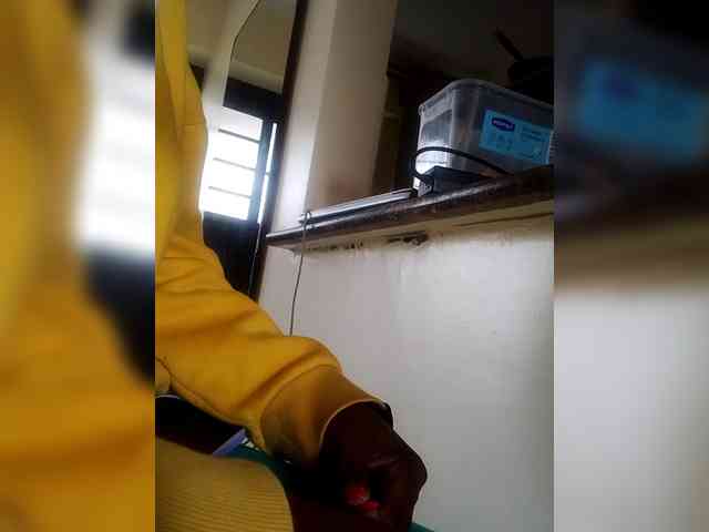 Misscreamerr