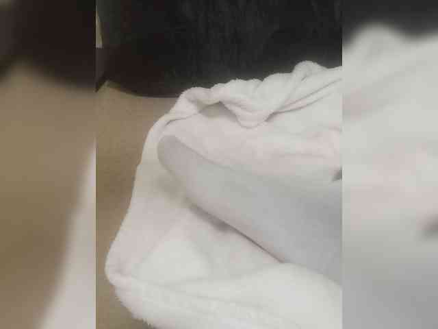 Misscreamerr