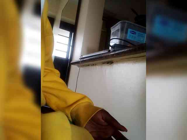 Misscreamerr