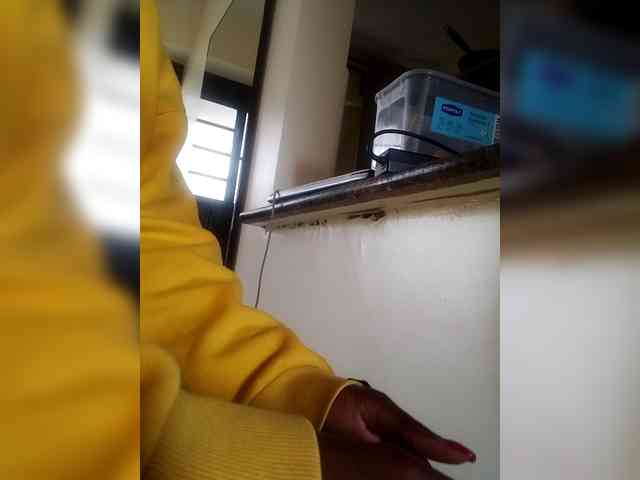 Misscreamerr