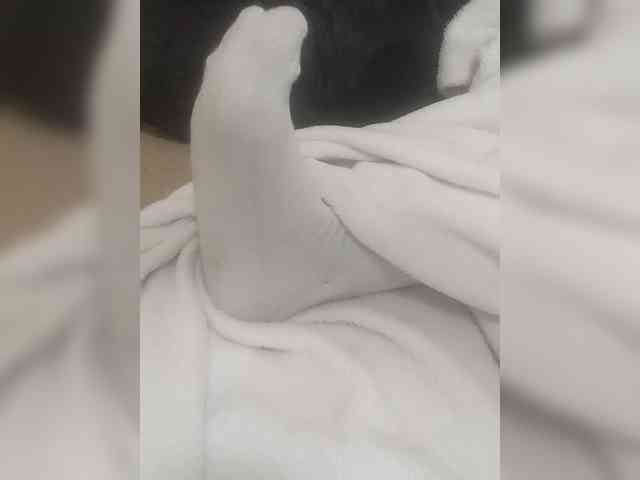 Misscreamerr