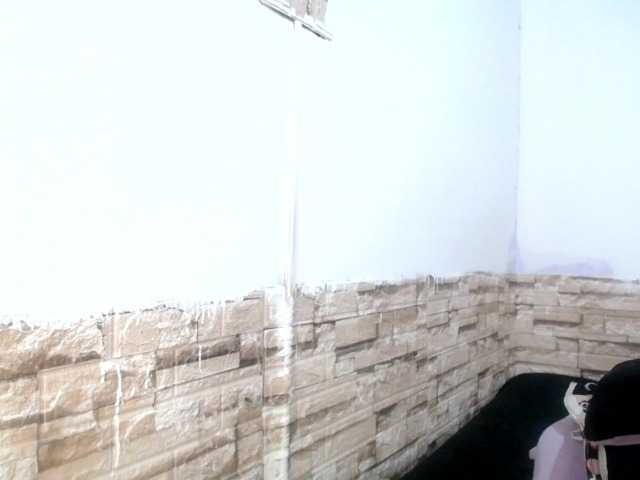 Bicky24
