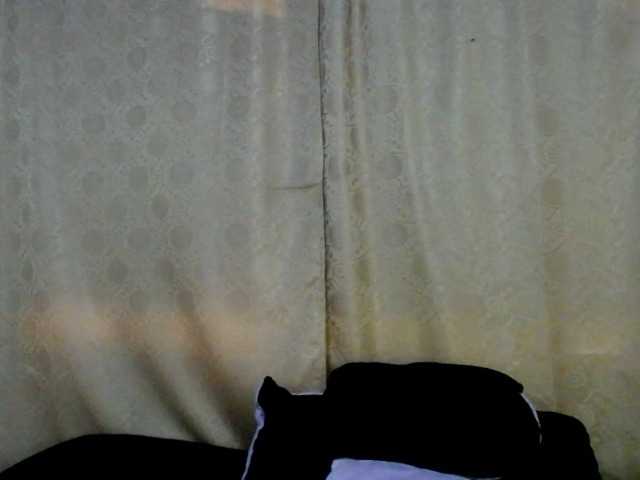 Bicky24