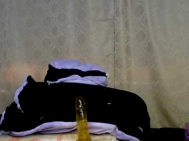Bicky24