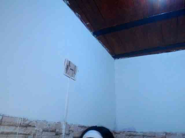 Bicky24