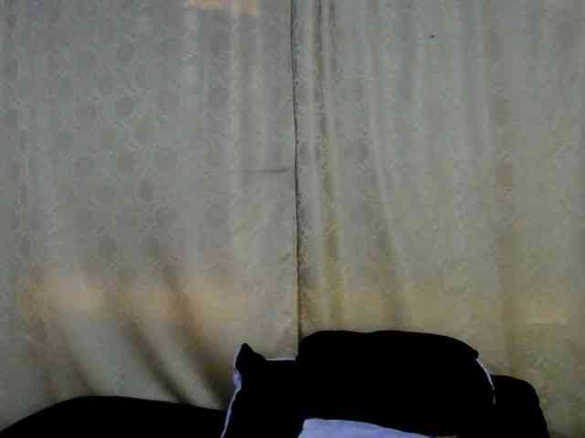 Bicky24 webcam