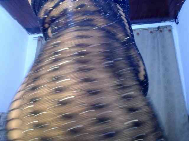 Bicky24 webcam