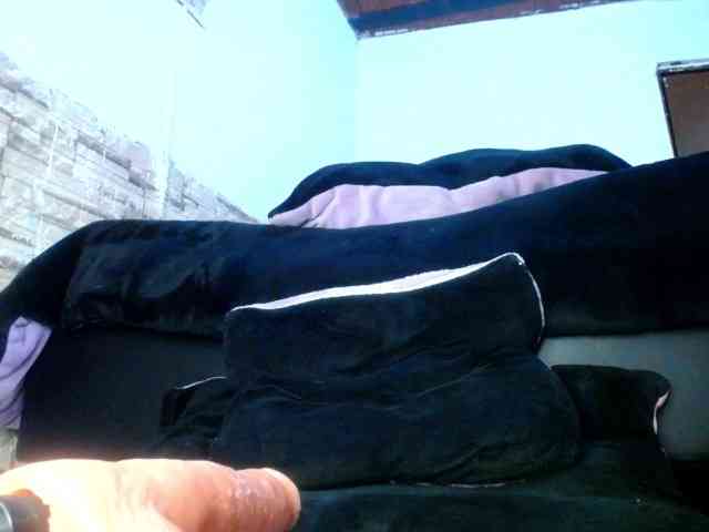 Bicky24