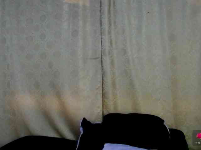 Bicky24 webcam