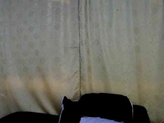 Bicky24 webcam