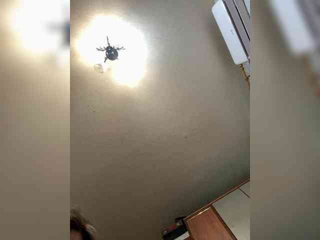 Vika-62 webcam