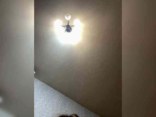 Vika-62 webcam