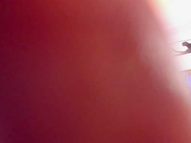 megan-loviitz's BongaCams show and profile