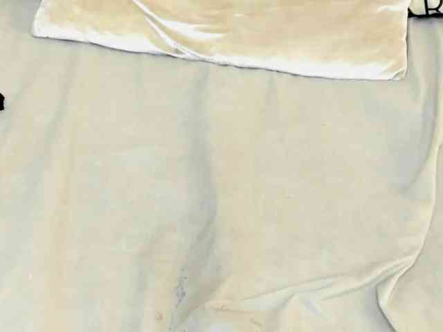 megan-loviitz webcam