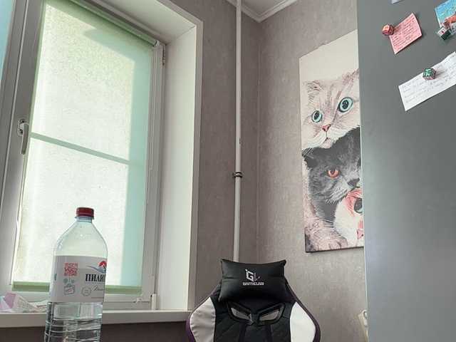 ANASTEIKK