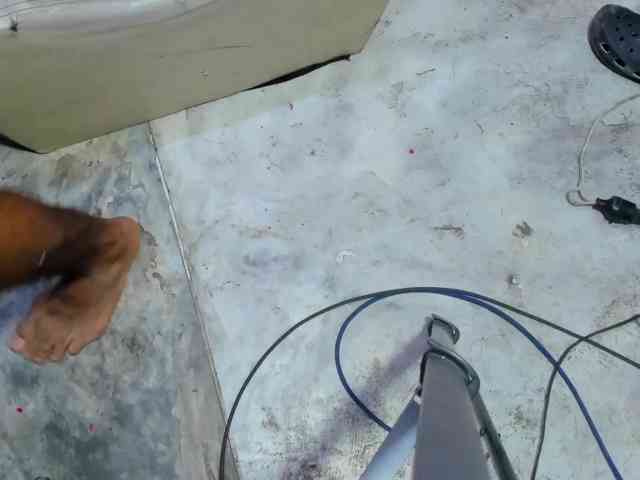 Daring-Latinavip webcam